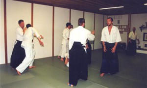 Aikido Training