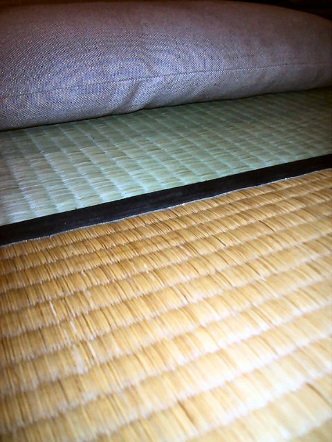Past old and new tatami