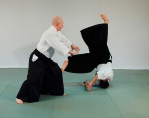specialkeiko 2 x Master Classes on Nikyo and Irimi nage November 21. and 22. – 2015 Instructor: Ethan Monnot Weisgard, 6th Dan Aikikai
