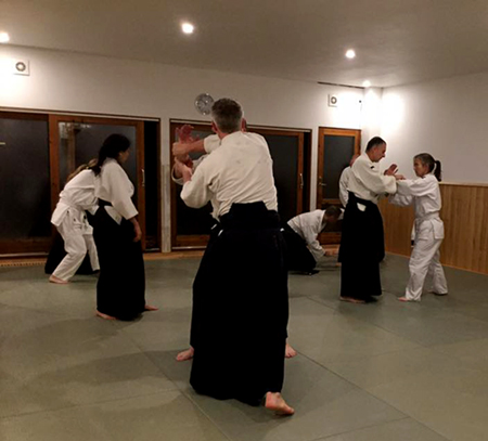 Copenhagen Aiki Shuren Dojo Training Schedule for Fall & Winter 2018-2019